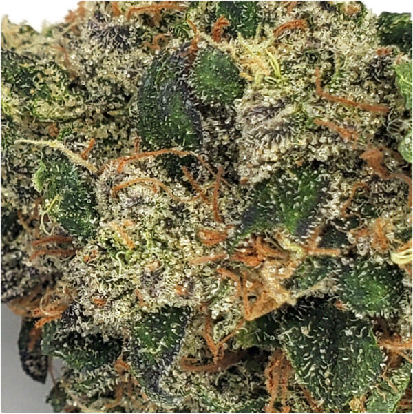 Gas Truffle Marijuana Strain