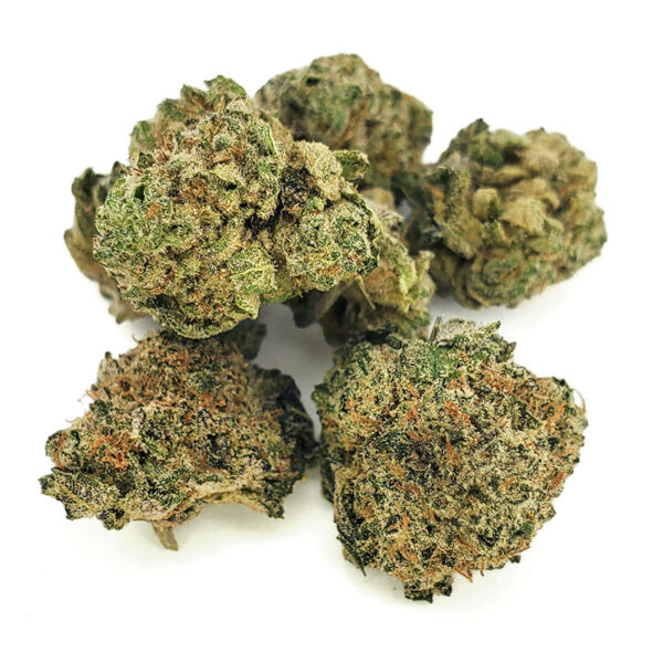 Girl Scout Cookies Marijuana Strain