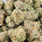 Guava Marijuana Strain