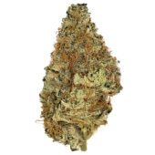 Orange Kush Cake Marijuana Strain