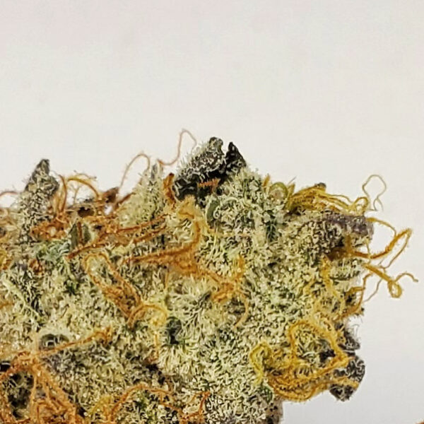 Orange Kush Cake Marijuana Strain