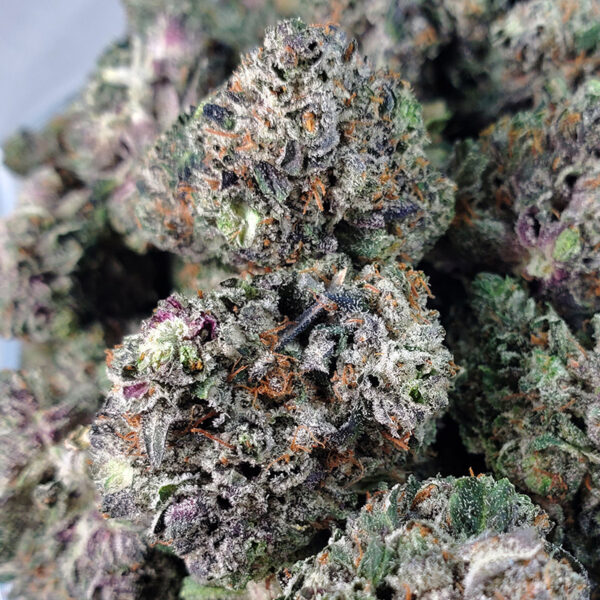 Pink Tuna Marijuana Strain