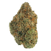 Scooby Snacks Marijuana Strain