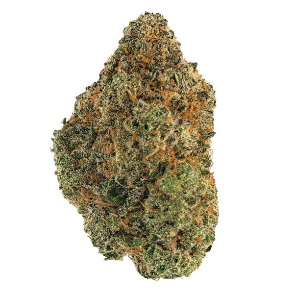 Scooby Snacks Marijuana Strain