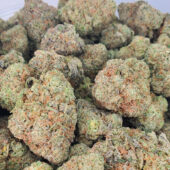 Scooby Snacks Marijuana Strain