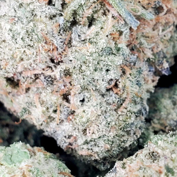 Scooby Snacks Marijuana Strain