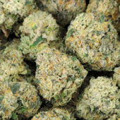 Lemon Hash Diesel Marijuana Strain