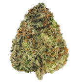 Tropical Punch Marijuana Strain