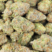 Tropical Punch Marijuana Strain