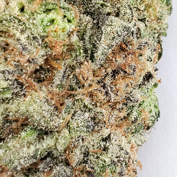 Tropical Punch Marijuana Strain
