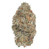 Funky Charms Marijuana Strain