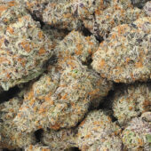 Funky Charms Marijuana Strain