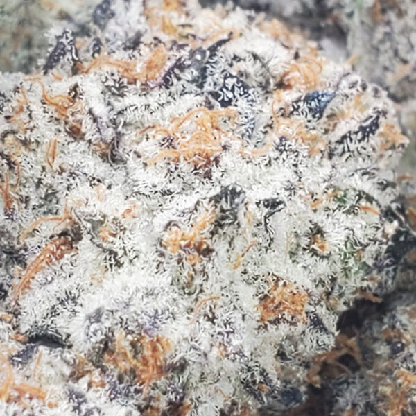 Funky Charms Marijuana Strain