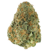 Nuken Marijuana Strain