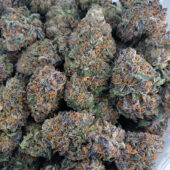 Blue Monkey Marijuana Strain