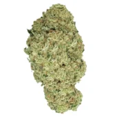 Chemo Marijuana Strain