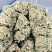Chemo Marijuana Strain