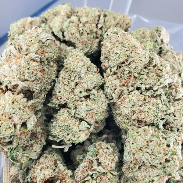 Chemo Marijuana Strain