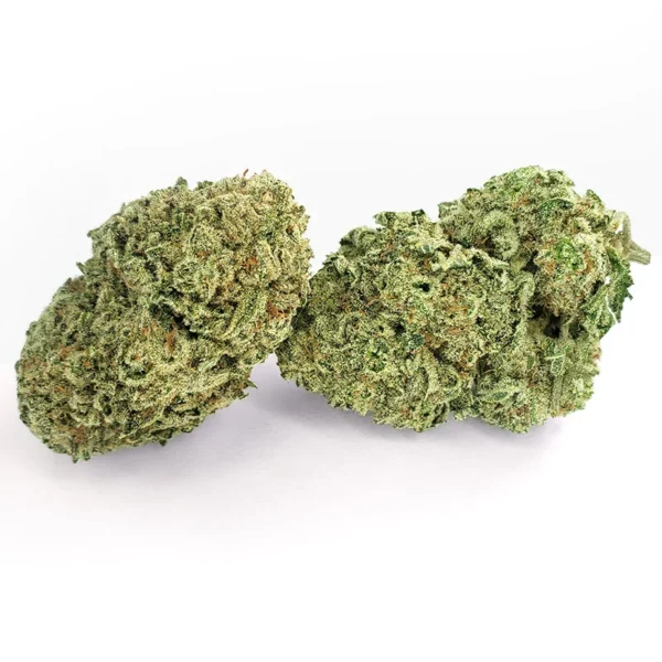 Chemo Marijuana Strain