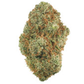 God Bud Marijuana Strain