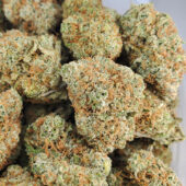 God Bud Marijuana Strain