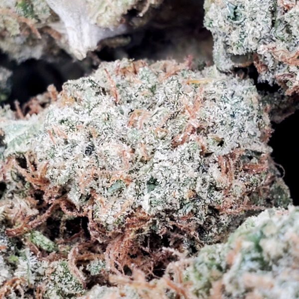 God Bud Marijuana Strain