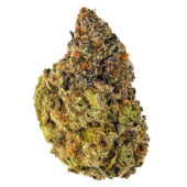 Ice Cream Cake Marijuana Strain