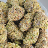 Ice Cream Cake Marijuana Strain