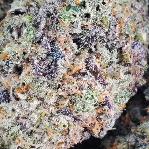 Ice Cream Cake Marijuana Strain