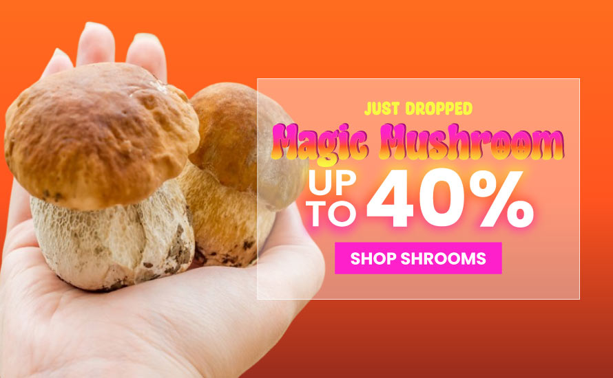 New Magic Mushroom stock. Up to 40% off