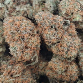 Peanut Butter Rockstar Marijuana Strain
