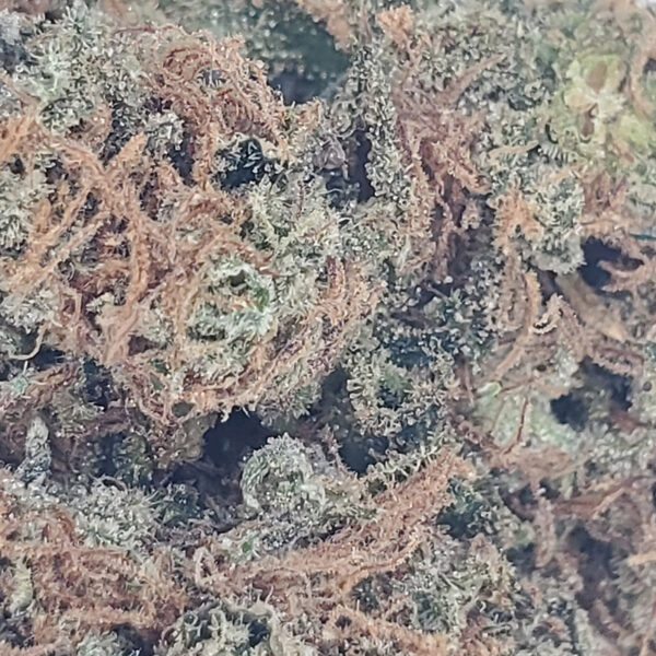 Peanut Butter Rockstar Marijuana Strain