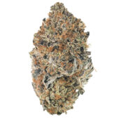 Pine Tar Kush Marijuana Strain