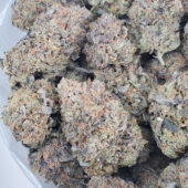 Pine Tar Kush Marijuana Strain