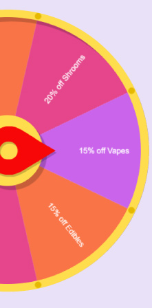 spin-the-wheel-image