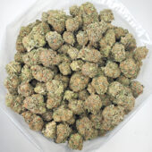 Bacio Gelato Marijuana Strain