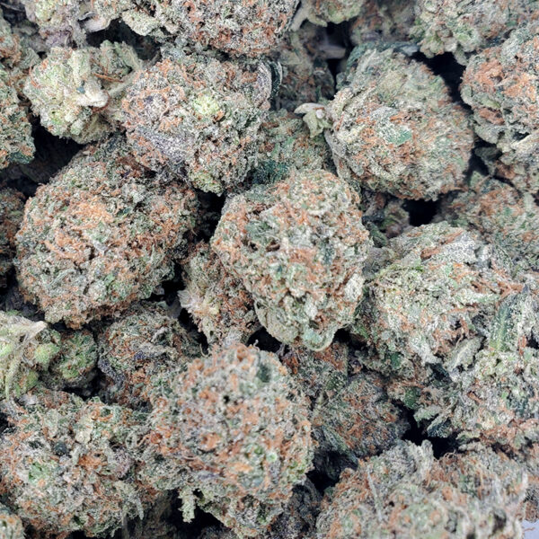 Bacio Gelato Marijuana Strain