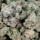 Bubba Kush Marijuana Strain