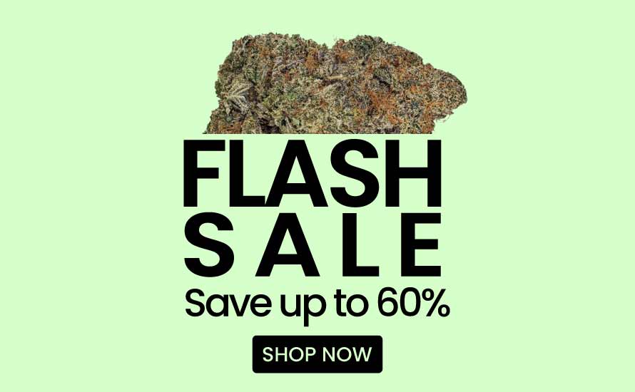 Flash Sale - Save up to 60% off