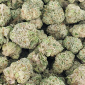Gorilla Cake Marijuana Strain