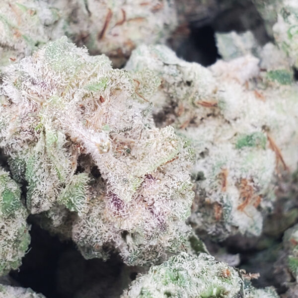 Gorilla Cake Marijuana Strain