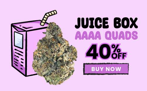 Juice Box Cannabis Sale 40% off