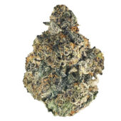 Juice Box Marijuana Strain