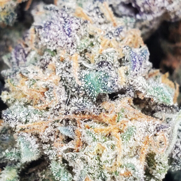 Pure Michigan Marijuana Strain