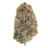 Purple Punch Marijuana Strain