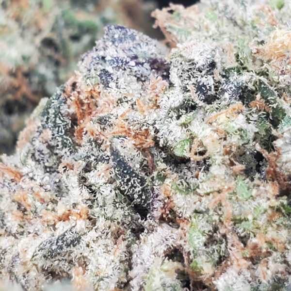Purple Punch Marijuana Strain