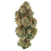 Cherry Gas Marijuana Strain