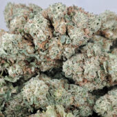 Cherry Gas Marijuana Strain