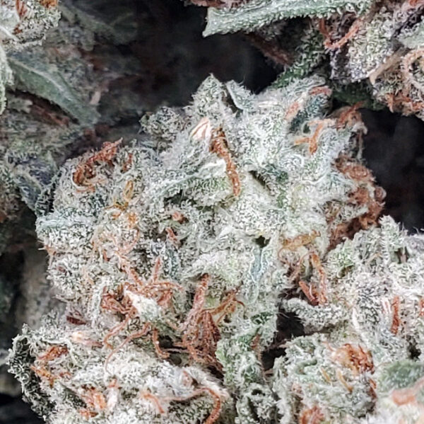 Cherry Gas Marijuana Strain