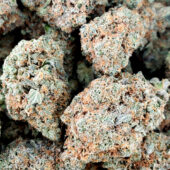 Gas Face Peanut Butter Marijuana Strain